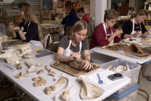 Archaeology lab at the Presidio