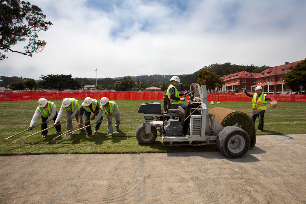 Grass being placed by workers