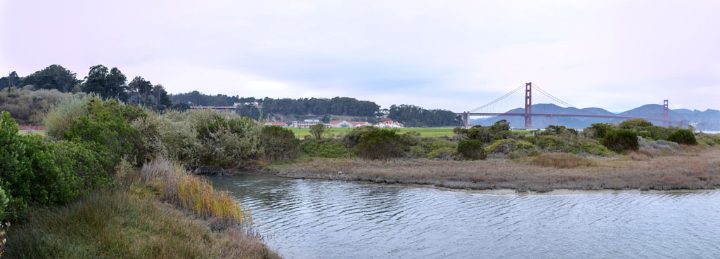 Crissy Marsh waters and vegetation with Golden Gate Bridge and buildings in the background.