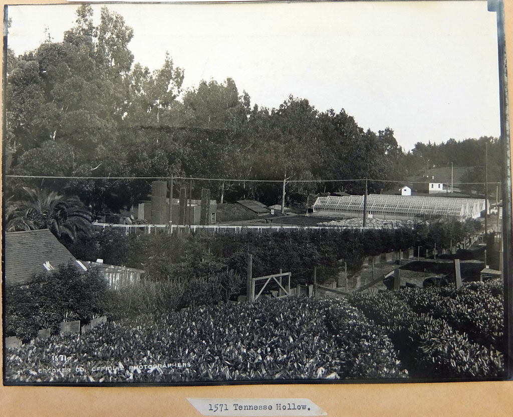 Exterior view of greenhouses and nurseries at MacArthur Meadow