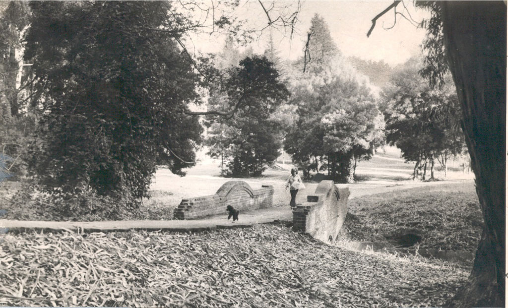 A woman taking her dog for a walk over the historic Lovers’ Lane brick bridge in MacArthur Meadow.