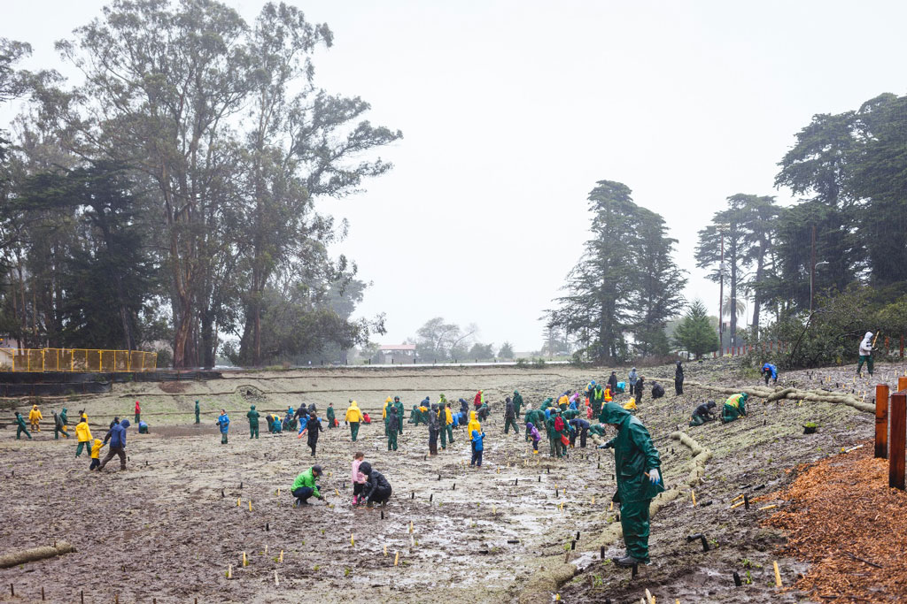 Volunteers planted over 1,500 wetland plants at MacArthur Meadow on a very wet Planting Day.