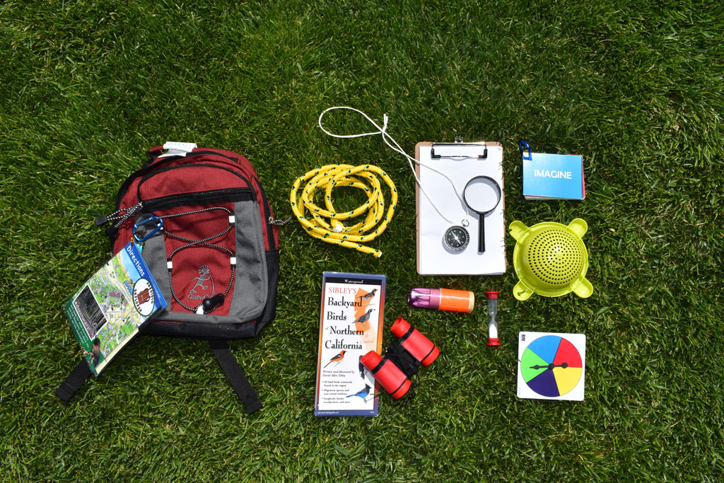 Red backpack next to its contents on lawn