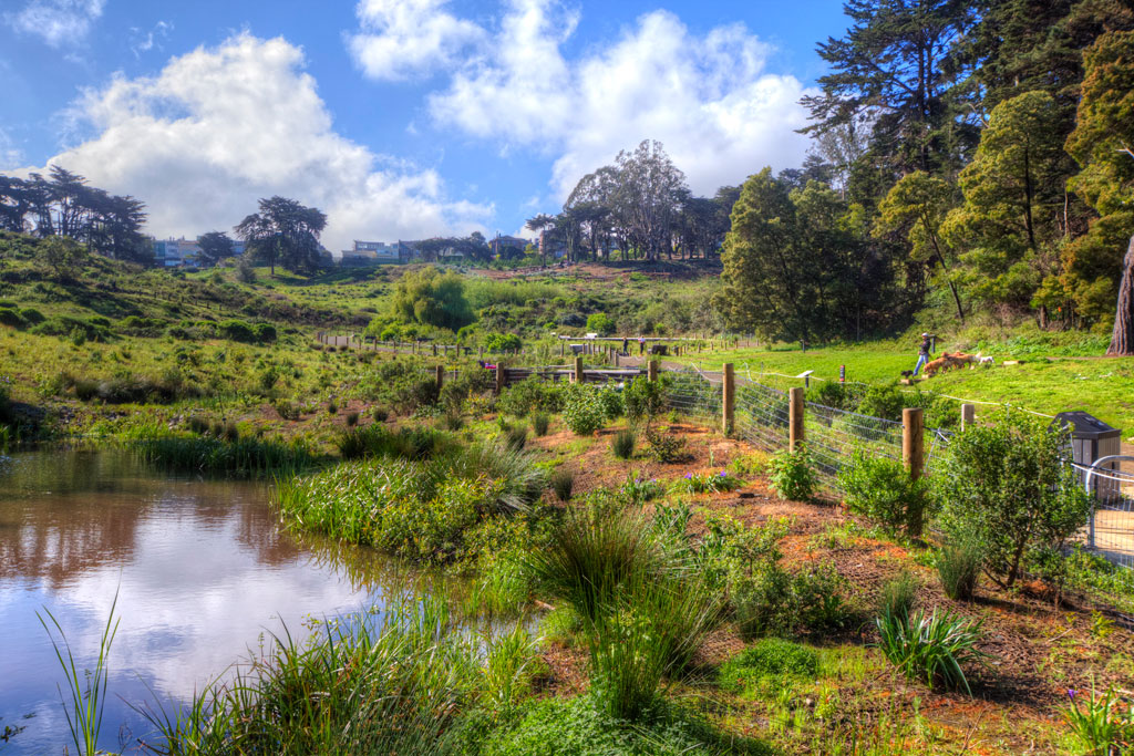 View of water, plants, and trail at El Polin Spring