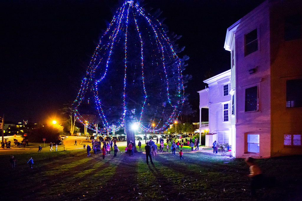 Visitors gathered around tree with holiday lights