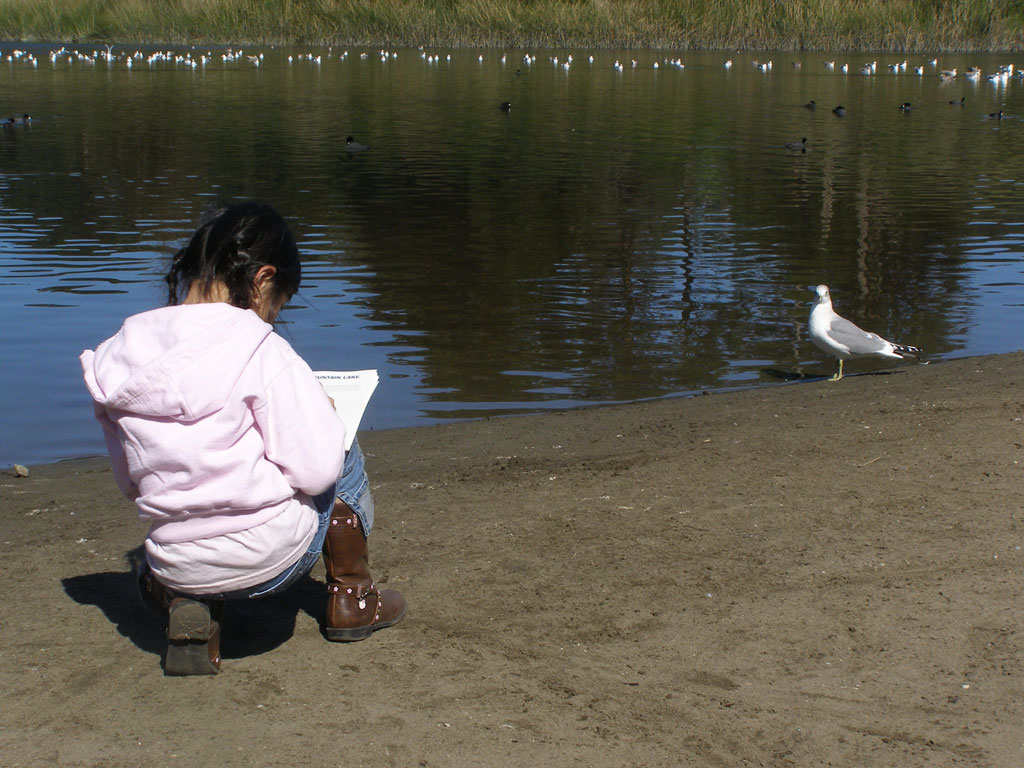 Child drawing in notebook of bird at Mountain Lake