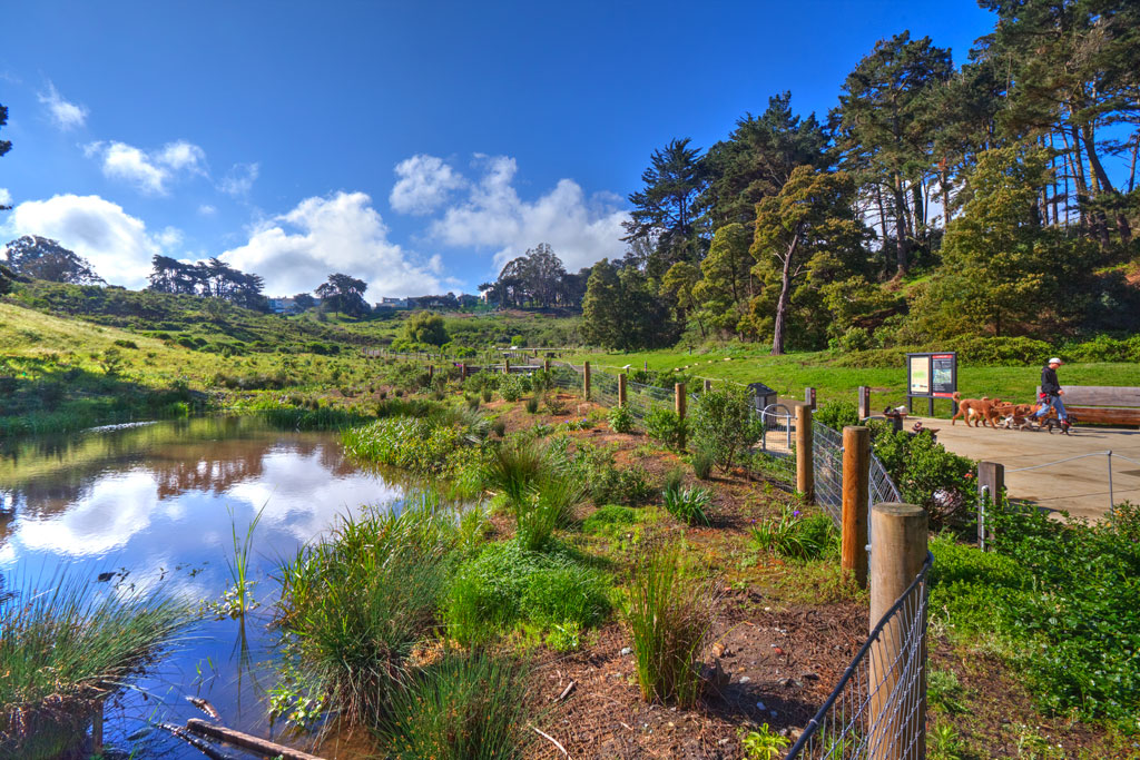 View of El Polin waters, trail, plants. Man with dogs walking on trail on right.