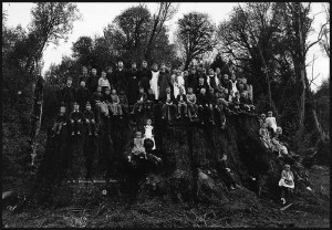 Fieldbrook Stump in 1896