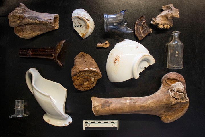 Various bone, broken bottle and dish artifacts