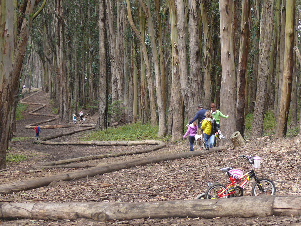 Visitors walking Wood Line