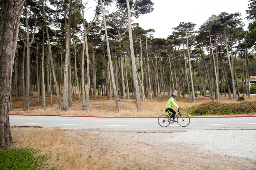 Bicyclist using bike path