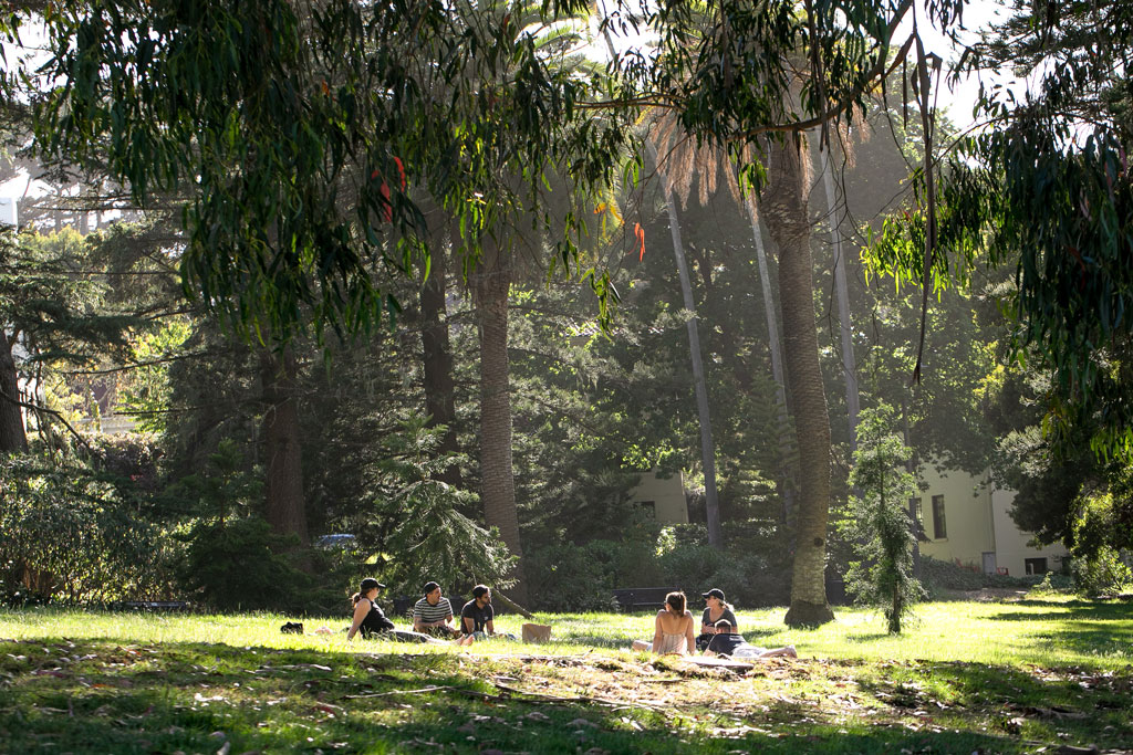 Picnickers seated on lawn near Letterman Digital Arts