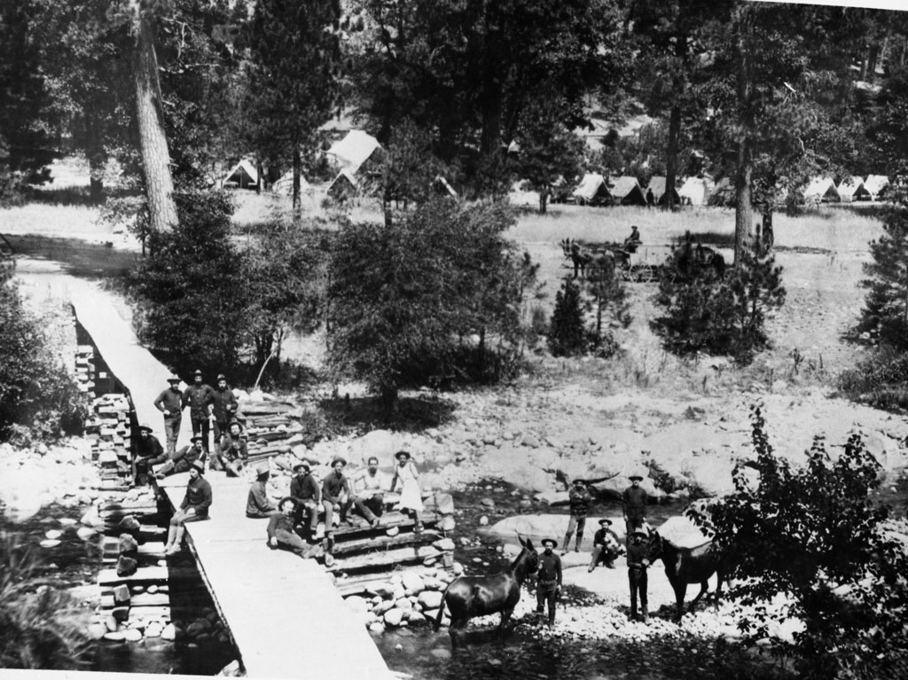 Troops camped with horses. Tents are aligned in the background.