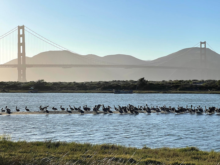 Birds in Crissy Marsh at the Presidio with the Golden Gate Bridge at the background.
