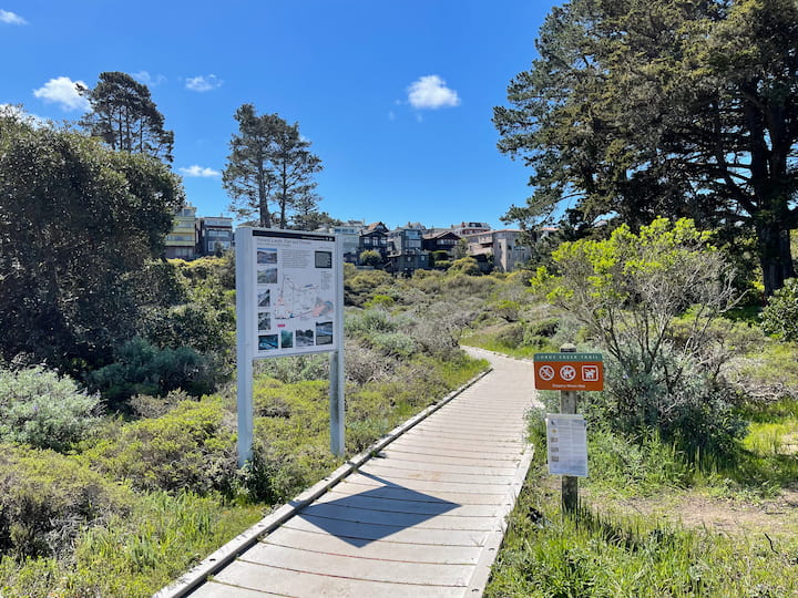 Lobos Creek Valley Trail boardwalk.