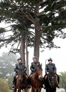 Three U.S. Park Police officers on mounted patrol. Photo by Agency Moanalani Jeffrey.