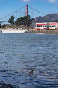 Quartermaster Reach Marsh with the Golden Gate Bridge and a Muni bus in the background.