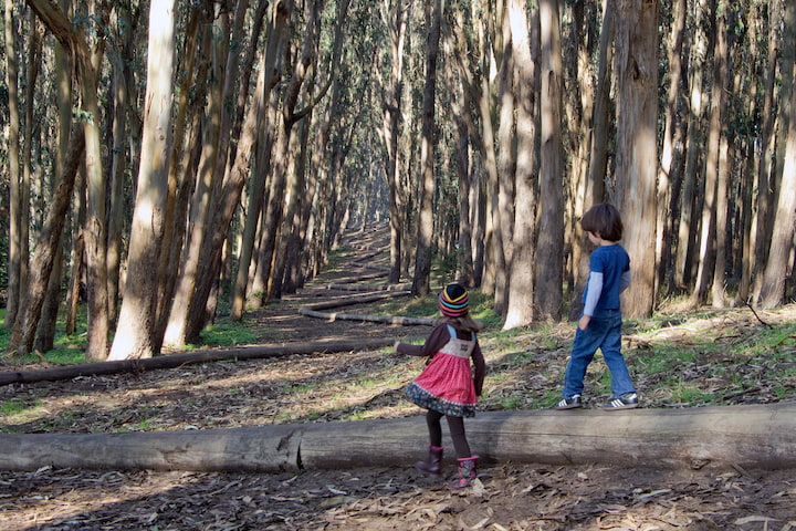 Two children walking on top of Wood Line.
