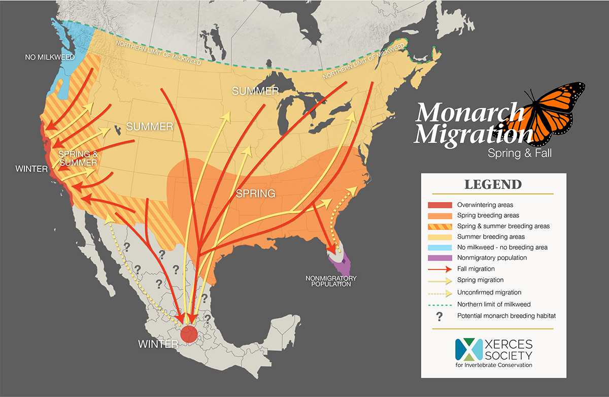 Map of monarch migration in United States.