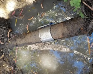 Leaky pipe running through the Presidio.
