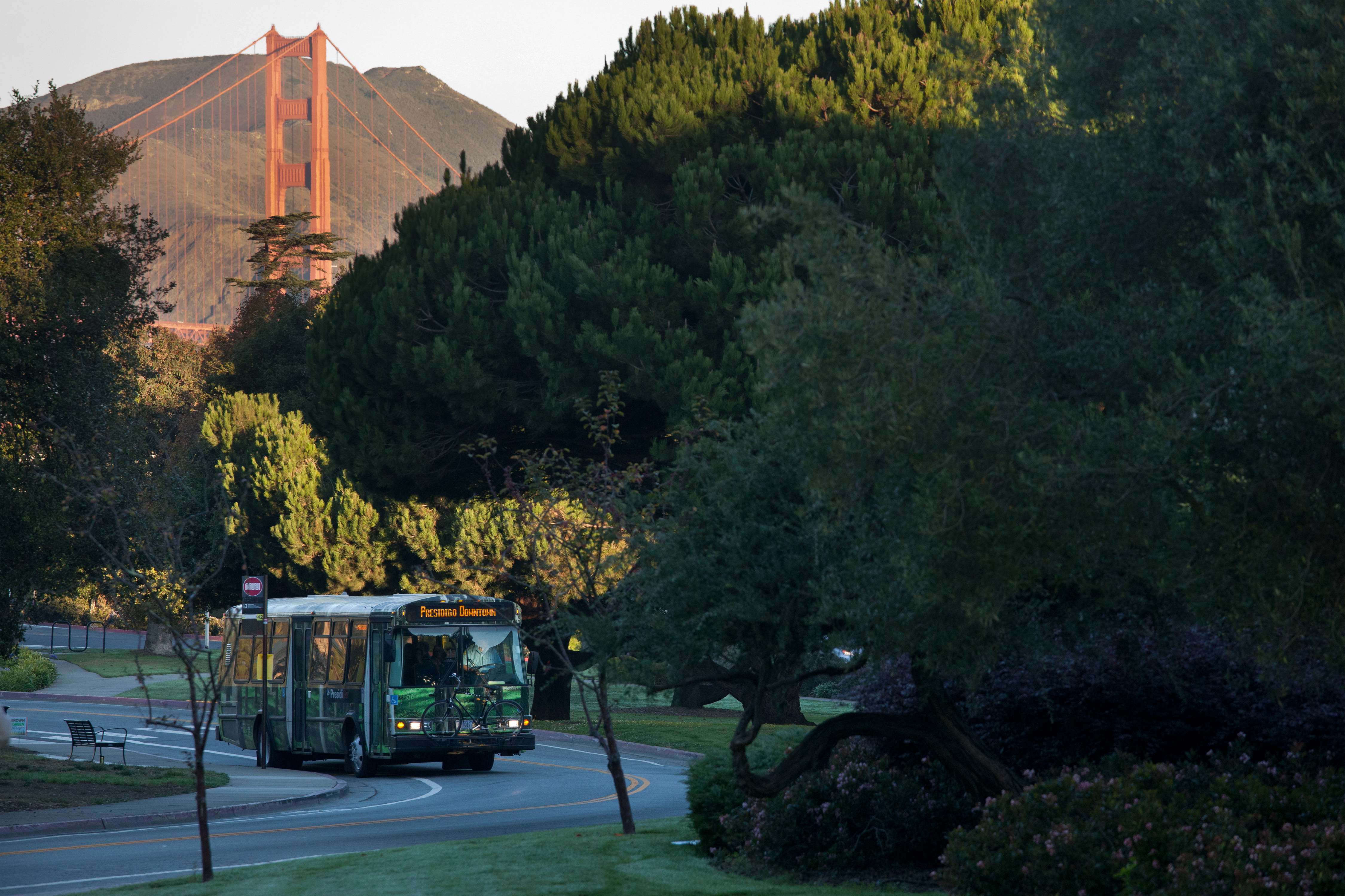 Image of Presidio GO Shuttle on the road with the Golden Gate Bridge in the background