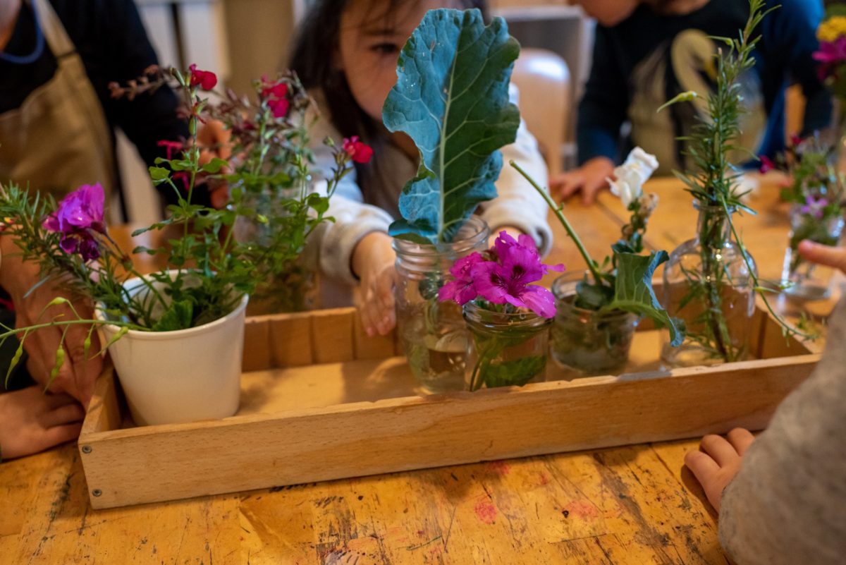 Little girl admiring a plant