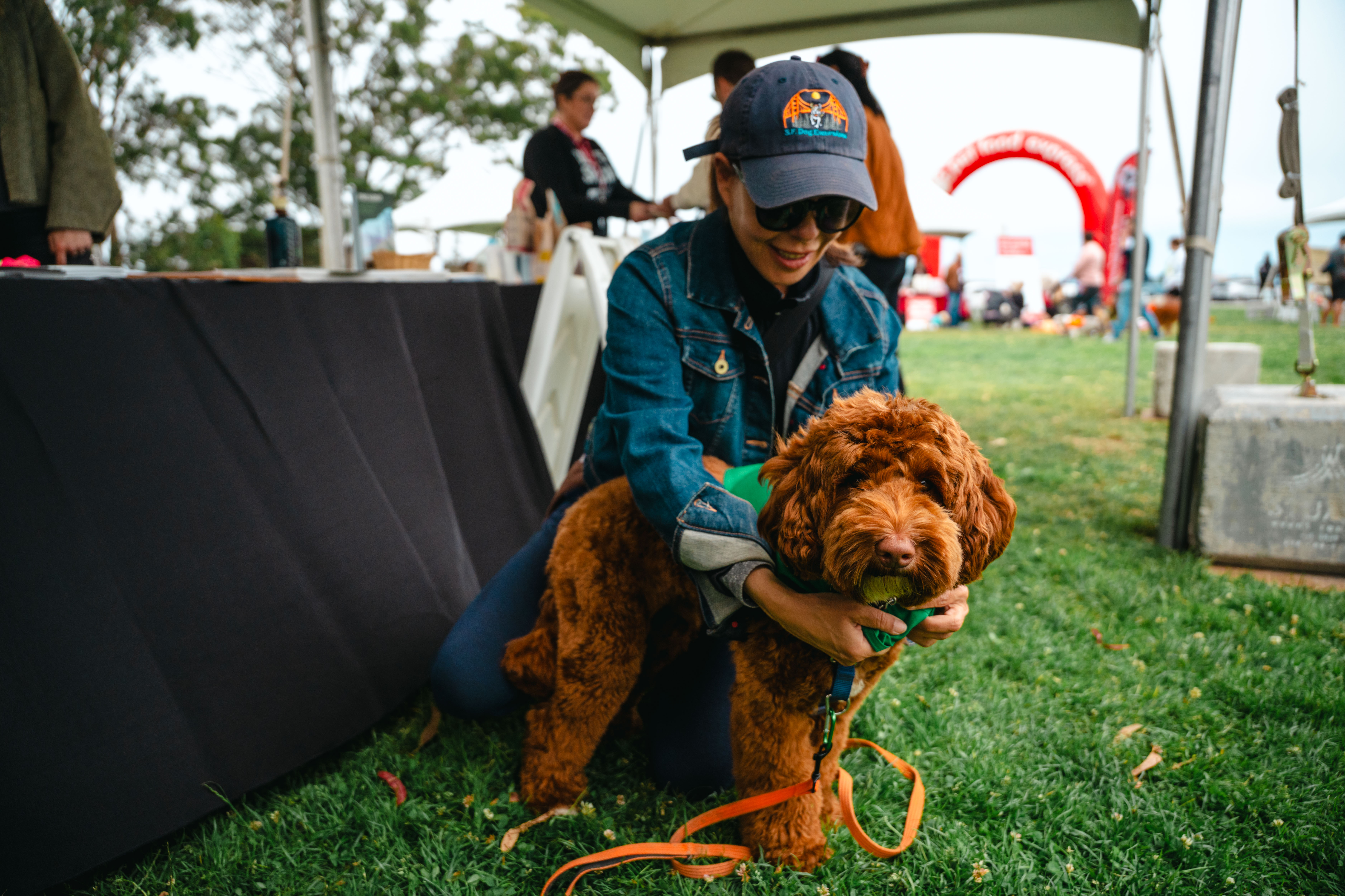 Woman putting bandana around dog