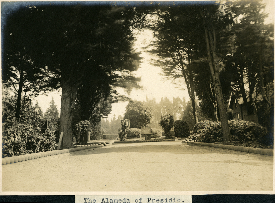 “Cannonball curbs” – the decorative edge to the landscaping – in the Presidio along “The Alameda of Presidio,” which was the former entrance to the Presidio. Photo circa 1910.