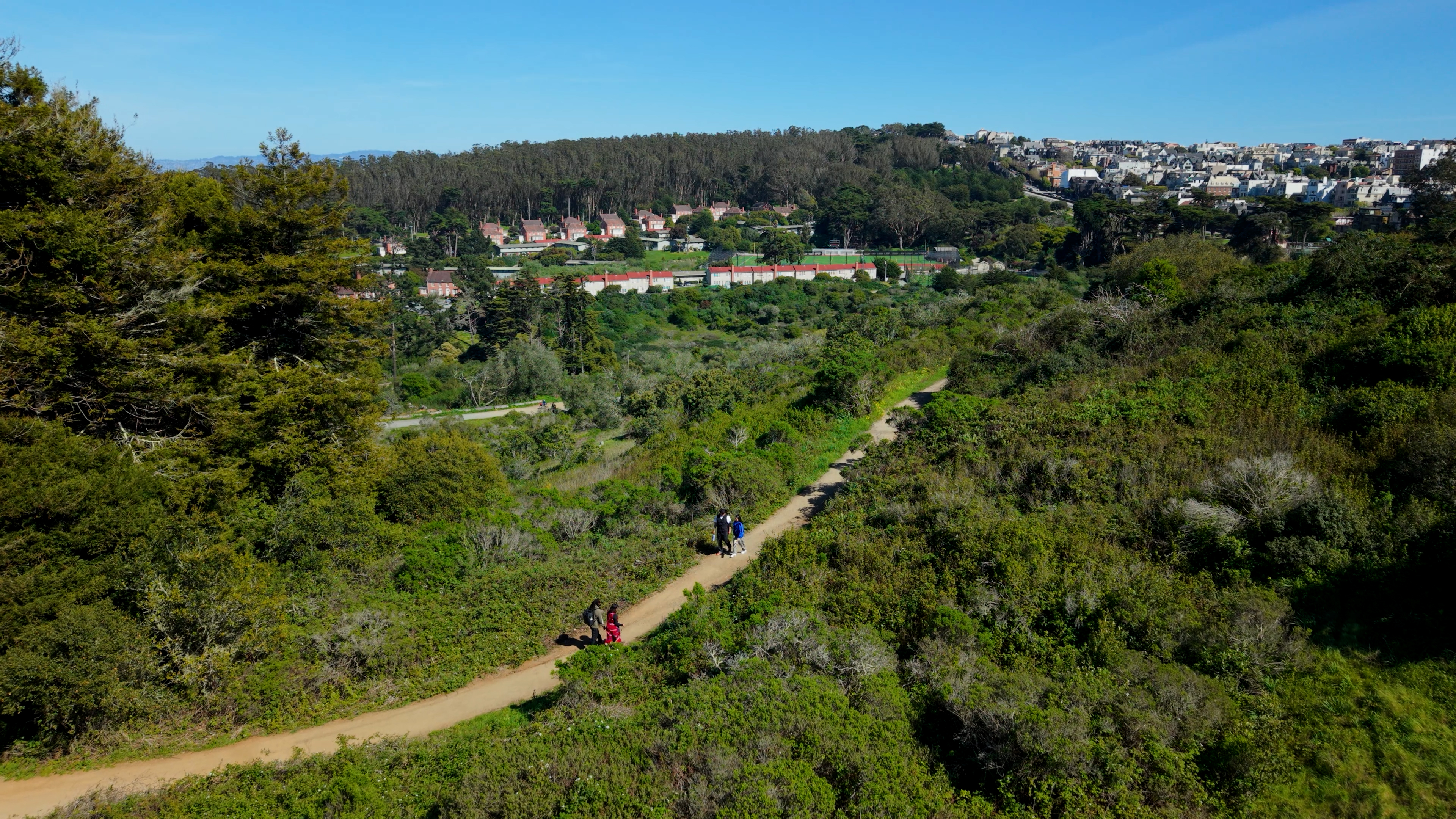Aerial shot of the ecology trail