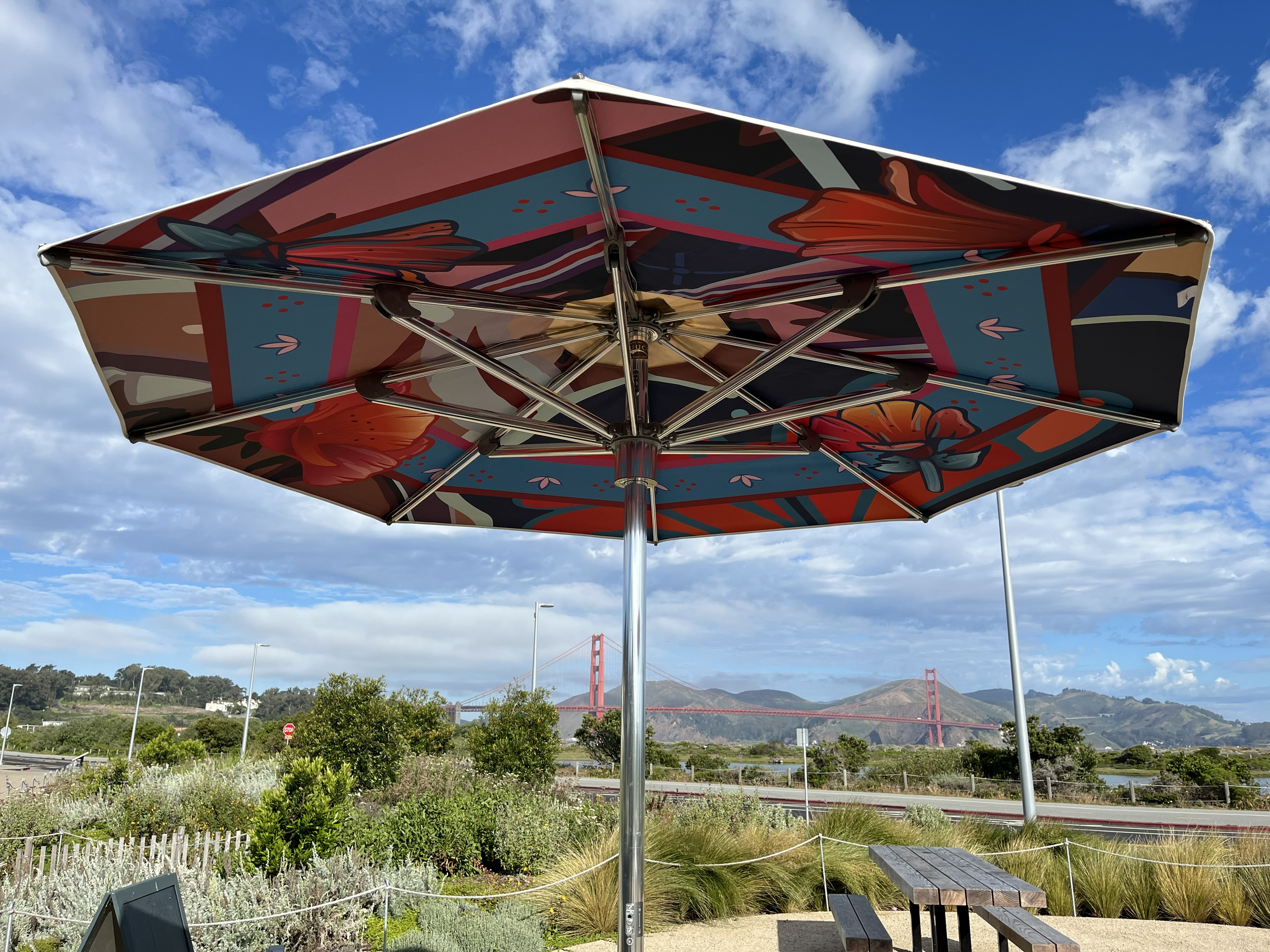 Umbrella with artwork on the under side